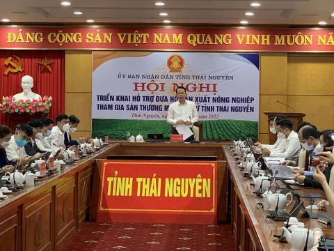 san thuong mai dien tu ho tro dau ra cho nong san thai nguyen