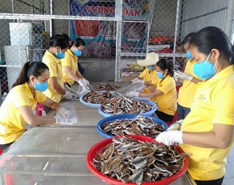 quang binh quang ba san pham ocop qua kenh thuong mai dien tu