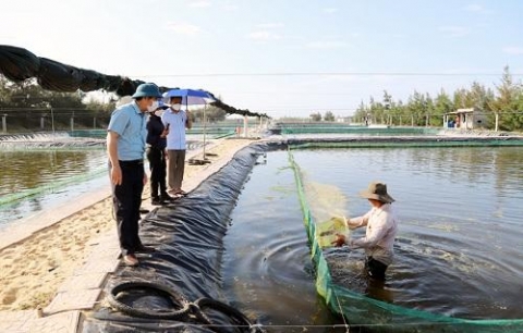 quang binh nhan ro ng mo hi nh nuoi o c huong thuong pha m