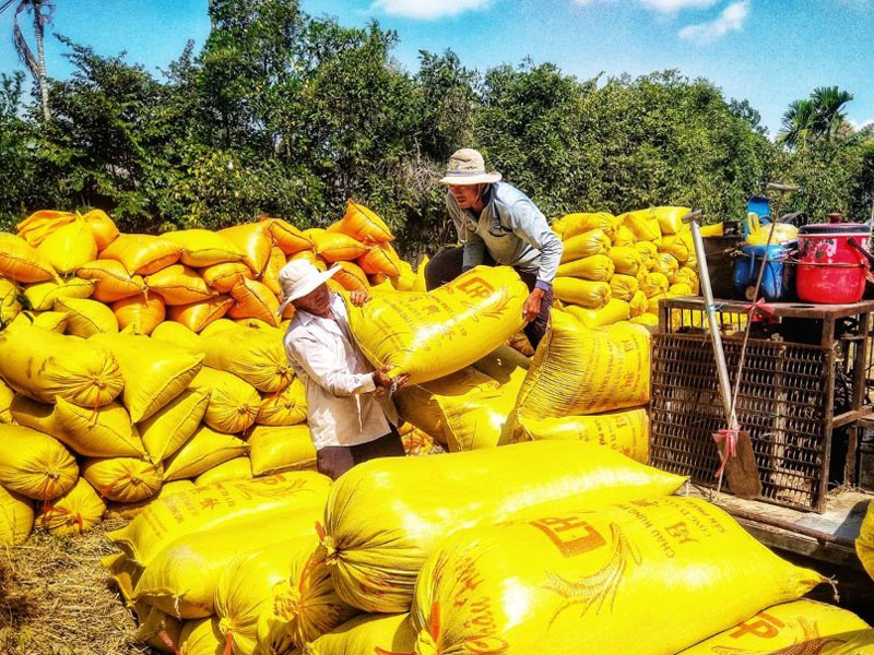 Thực trạng giai cấp nông dân hiện nay và một số vấn đề đặt ra