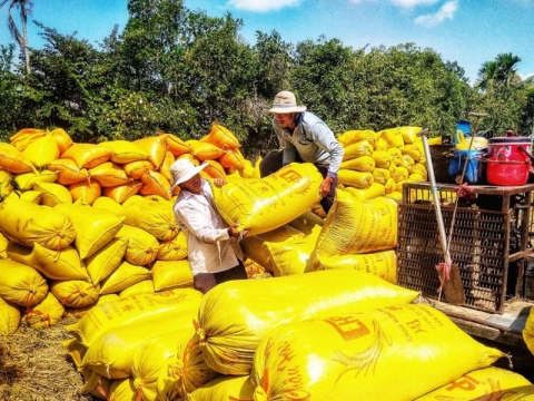 Thực trạng giai cấp nông dân hiện nay và một số vấn đề đặt ra