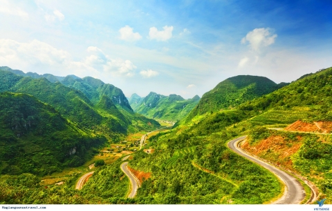 rung quan ba cho gia tri kinh te cao