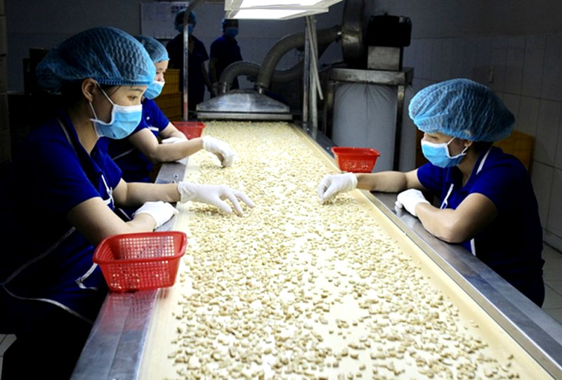 FTA: “Chìa khóa” cho xuất khẩu hàng hóa năm 2023