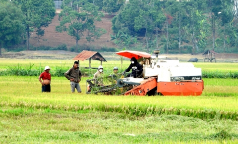 loc phu chuyen minh