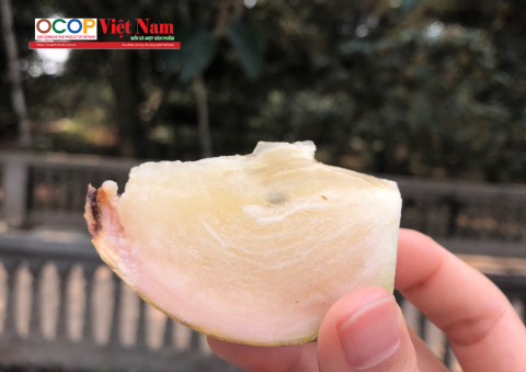 vu sua hop duc san pham ocop 4 sao cua huyen tan yen