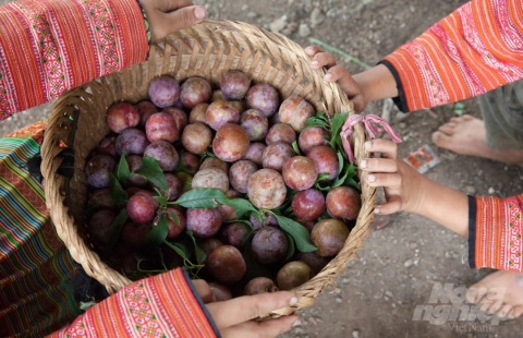 man hau na ka niem tu hao cua cao nguyen moc chau
