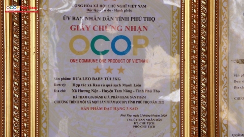 htx rau cu qua sach manh lien diem sang phat trien kinh te tap the