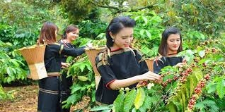 le hoi ca phe buon ma thuot lan thu 8 nam 2023 voi chu de buon ma thuot diem den cua ca phe the gioi