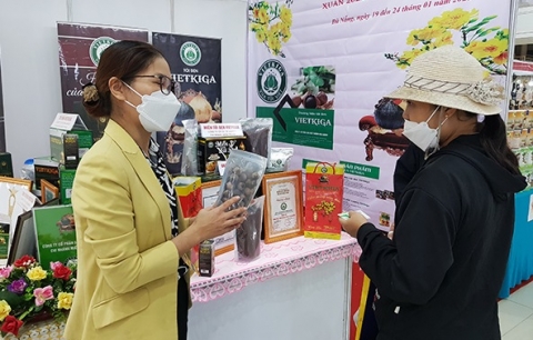 da nang mat tran cac cap chung tay quang ba san pham ocop