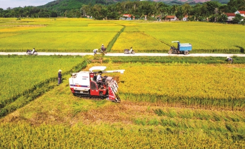 Phát huy thế mạnh nông nghiệp nghệ an