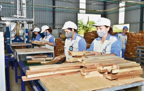 Khuyến công Tuyên Quang: Ưu tiên các cơ sở chế biến sâu, có thế mạnh