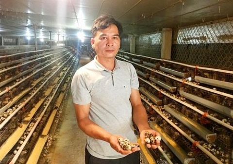 quang binh nuoi 13000 con chim be nho dut tui hon 2 trieungay