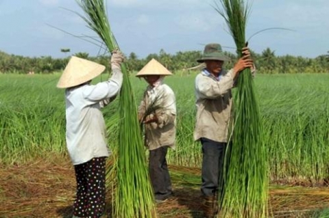 tra vinh quan tam phat trien lang nghe truyen thong
