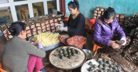 huyen tho xuan thanh hoa dau tu phat trien nghe lang nghe truyen thong