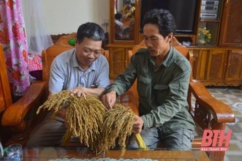 thanh hoa nep hat cau loc thinh dac san vung dat tay do