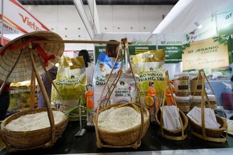 quang tri hinh thanh mo hinh san xuat theo chuoi gia tri