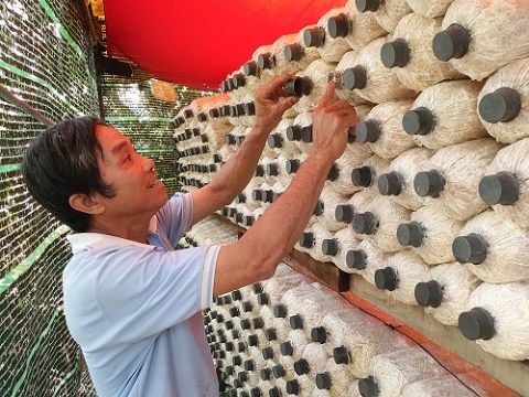 an giang phong trao san xuat kinh doanh gioi o xa vinh thanh