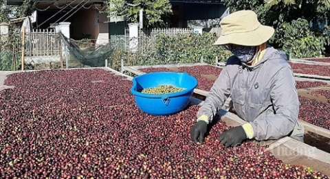 tu van xuat khau nong san thuc pham sang thi truong nhat ban