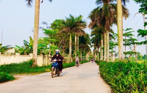 thanh mai ngay cang xanh hon