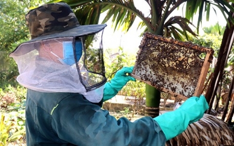 ha tinh vu quang phat trien ben vung nghe nuoi ong