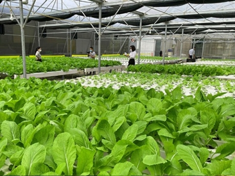 quang binh ung dung tien bo khoa hoc ky thua t vao san xuat nong nghiep