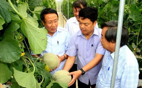 quang tri no luc thuc hien cac muc tieu xay dung nong thon moi