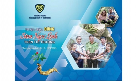 tuan le nhan dien dung sam ngoc linh tren thi truong