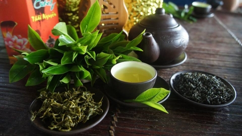 san xuat che bien va tieu thu che thai nguyen hien nay