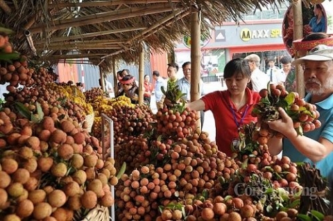 san sang cac phuong an de xuc tien tieu thu vai thieu nam 2020