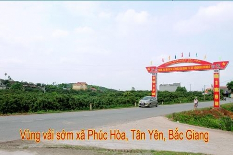 huyen tan yen tinh bac giang phat trien kinh te xay dung thanh cong huyen nong thon moi