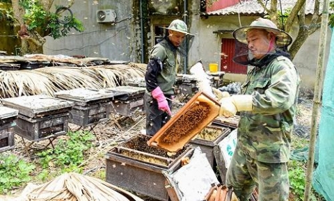 tuyen quang dien mao nong thon moi xa thai binh