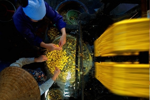 giu gin va phat trien lang nghe to tam vong nguyet