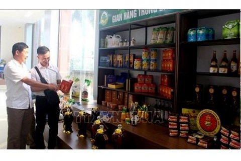thanh hoa co them 7 san pham ocop cap tinh huong toi muc tieu co them 50 san pham ocop cap tinh trong nam 2021