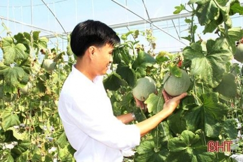 ha tinh cai thien tieu chi thu nhap de nang tam nong thon moi o loc ha