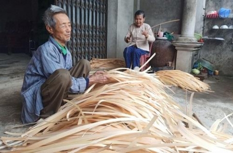 thanh hoa phong tay bat mau voi nghe dan cot
