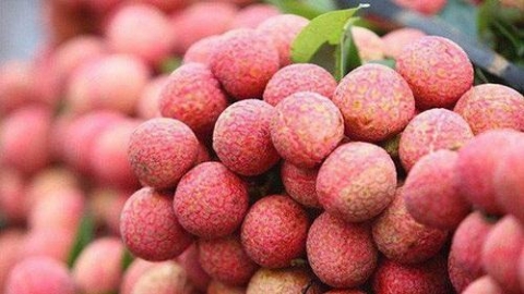 100 tan vai thieu viet nam se xuat khau sang australia