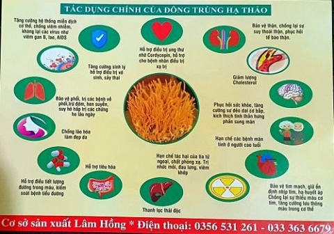 huyen phu xuyen ha noi co so nuoi trong va che bien nam lam hong