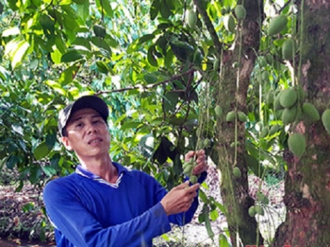 hau giang phat trien san pham ocop gan voi quang ba du lich