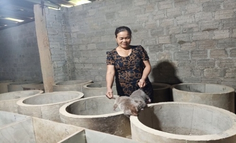 ha tinh lam giau tu nuoi dui