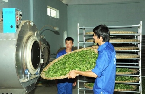chuong trinh khuyen cong ho tro co so san xuat tai cac lang nghe che o thai nguyen
