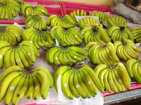 viet nam la thi truong cung cap chuoi lon thu 7 cho thi truong nhat ban