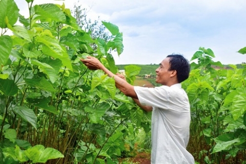 lam dong dong hanh cung nguoi dan chuyen doi cay trong
