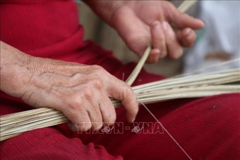 den voi lang nghe bo choi cong dua my an