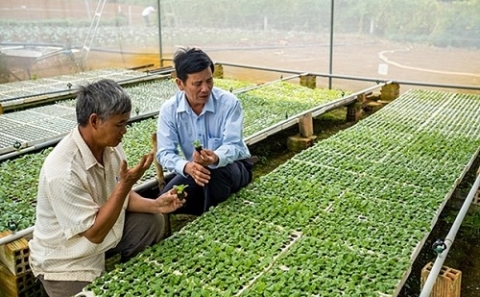 hieu qua tu du an rau an toan binh dinh