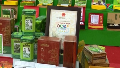thai nguyen nang hang san pham ocop gop phan day manh tieu thu nong san