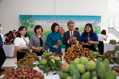 hon 300 gian hang tham gia festival trai cay va san pham ocop viet nam nam 2022
