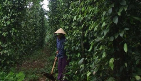 huyen cam lo quang tri xay dung huyen nong thon moi dau tien