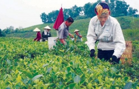 xay dung nong thon moi o thai nguyen dan chu cong khai minh bach