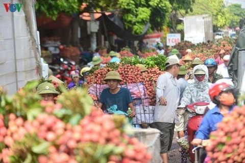 dam bao an toan phong dich covid 19 cho thuong nhan den tieu thu vai