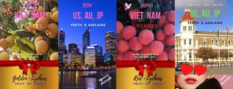 9 tan vai u hong viet nam chuan bi duoc xuat khau sang australia